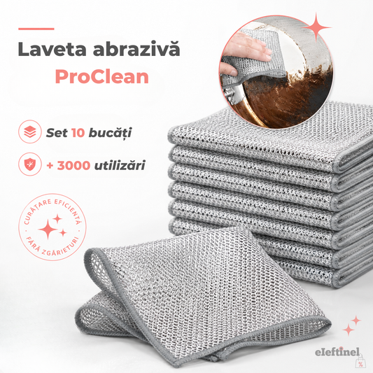 Lavetă Abraziva ProClean