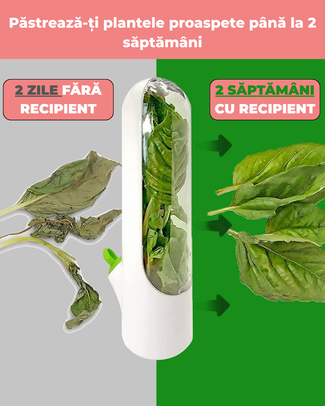 Capsula depozitare verdeturi